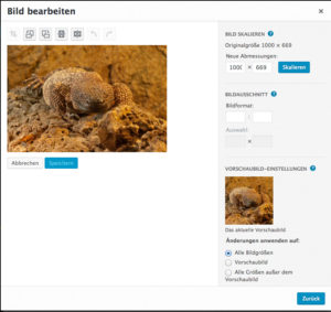 Bilder in WordPress bearbeiten: zuschneiden, drehen, skalieren