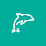 Jimdo Dolphin - einfach und schlicht