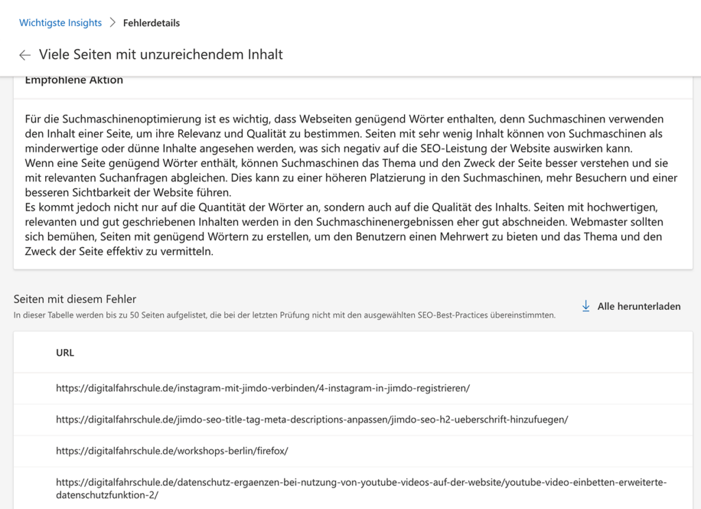 Website Audit Bing - Fehlermeldung