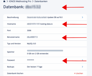 IONOS: Datenbank Informationen