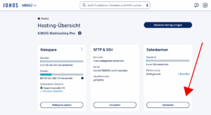 IONOS: Datenbanken verwalten